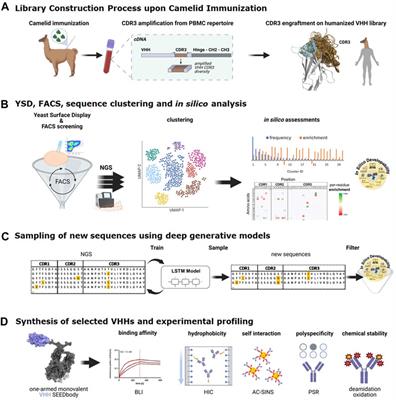 AI/ML combined with next-generation sequencing of VHH immune repertoires enables the rapid identification of de novo humanized and sequence-optimized single domain antibodies: a prospective case study